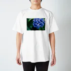 憧憬写真館のHydrangea スタンダードTシャツ