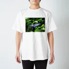 永遠の兵のきれいなちょうちょ スタンダードTシャツ