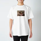 dac0001の愛猫モモのどアップ画！ スタンダードTシャツ