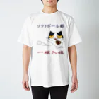 NOMAD-LAB The shopのソフトボール Regular Fit T-Shirt