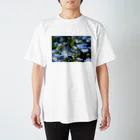 るかちしょっぷのNemophila スタンダードTシャツ