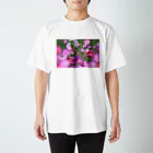 kenの乱れ秋桜 Regular Fit T-Shirt