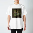 雁花工房（寄付アイテム販売中です）のWild plants of HOTOKENUMA-wetlands（背景ダークグレー） スタンダードTシャツ