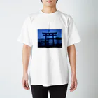 無機物之怪古－Nost　Inor－の覗き目 スタンダードTシャツ