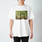 写真箱のkoorebi スタンダードTシャツ