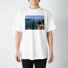 ナンバープレート風Ｔシャツのダックスフンド×Tシャツ（アップル×奄美大島） スタンダードTシャツ