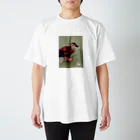 イリーのかも Regular Fit T-Shirt