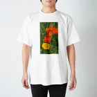 南(minami)정남...の天国（ポピー） Regular Fit T-Shirt