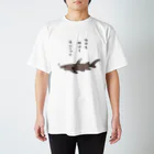 しゃくのネムリブカTシャツ スタンダードTシャツ