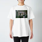 橋本の写真のtoilet in birmingham スタンダードTシャツ