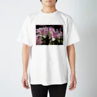 sadotrip | Delightのsadotrip | 花咲く スタンダードTシャツ