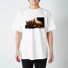 hikamiのふたりの寝姿 Regular Fit T-Shirt