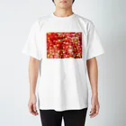 ぽきみす🍤の赤い実Tシャツ スタンダードTシャツ