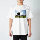 けやきのみらいの大けやきと道（写真） スタンダードTシャツ