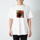 あゆのしおやきの白玉あんみつ Regular Fit T-Shirt