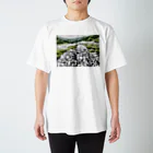 Hari no Yama / 針の山のSacred mountain Osorezan スタンダードTシャツ