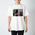 softihhardのおはなT スタンダードTシャツ