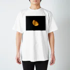 たーどの月 Regular Fit T-Shirt