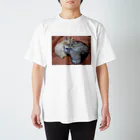 hikamiのくっつき？ Regular Fit T-Shirt