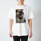 ねこの森でお散歩のさあ、モフりなさいよ。 Regular Fit T-Shirt