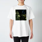 softihhardの藻アートTshirt スタンダードTシャツ