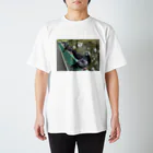 メロネードの公園の鳩 Regular Fit T-Shirt