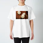 Aiko Nakanoの粘菌_ムラサキホコリ_20170823_8703 Regular Fit T-Shirt