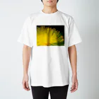 はるるるの姫金糸梅02 Regular Fit T-Shirt