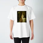 僕の欲しいもの天国のネオロココ２ Regular Fit T-Shirt