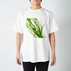 Aquarium Kindの水草Tシャツ スタンダードTシャツ