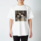E.pmjのうちの猫 スタンダードTシャツ