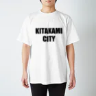 【公式】RE EARTH TV / リアスティーヴィーのKITAKAMI CITY - Tee（BK-Light Color）スタンダードTシャツ Regular Fit T-Shirt