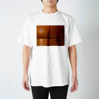 hotcake1986のSunrise in ganges スタンダードTシャツ