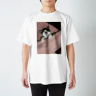 こねこねこ日和の子猫の寝顔 Regular Fit T-Shirt