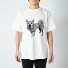 カスミ草の一緒にあそぼ？柴犬 スタンダードTシャツ