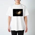 おとうふの月光浴 Regular Fit T-Shirt