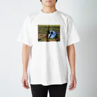 うさぎのぱんちゃんのぱんちゃんおすましグッズ Regular Fit T-Shirt