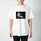 ASHITAGAMIENAIのASHITAGAMIENAI(夜花) スタンダードTシャツ