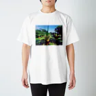 irinanchi_music☆のソテツの朝 スタンダードTシャツ