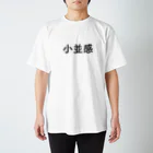 KAORU AKAMINEの小並感 Tシャツ（Konamikan T-Shirt） スタンダードTシャツ