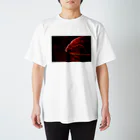 Rukbatの異界は朱い Regular Fit T-Shirt