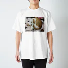 のみちゃんのニャンコ Regular Fit T-Shirt