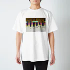 ぶみのヤマムェカラー Regular Fit T-Shirt