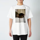 工房かみりゅんの家の猫　茶虎 Regular Fit T-Shirt