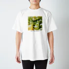 Art na plantsのArt na plants　ハオルチア　オブツーサ　マリン Regular Fit T-Shirt