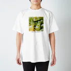 Art na plantsのArt na plants　ハオルチア　オブツーサ　マリン スタンダードTシャツ