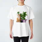 𝙈𝙊𝙈𝙊'𝙨 𝙎𝙝𝙤𝙥の植物とねこ_02 Regular Fit T-Shirt