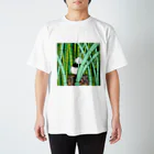 やもり屋商店の竹林パンダ スタンダードTシャツ