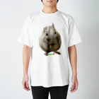 デグーのプラハのデグー　degu❤️ スタンダードTシャツ