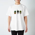 KKflowersの多肉植物 スタンダードTシャツ